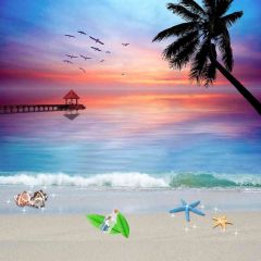 Stunning Sea Views Photography Scenery Backdrop Ocean Theme Banner EHY-387