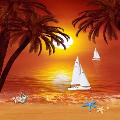 Stunning Sunset Scenery Photography Scenery Backdrop Ocean Theme Banner EHY-388