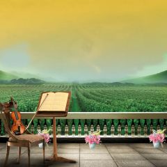 Green Plants Photography Scenery Backdrop Balcony Landscape Theme Banner EHY-403