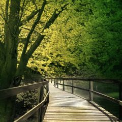 Serenity Time Photography Scenery Backdrop Architectural Theme Banner EHY-445