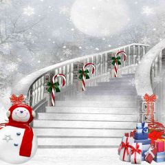 Snowy Xmas Eve Photography Scenery Backdrop Christmas Theme Banner EHY-456