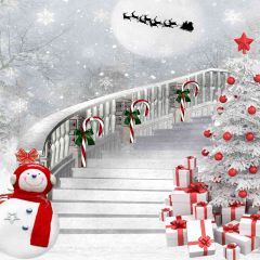 Snowy Xmas Eve Photography Scenery Backdrop Christmas Theme Banner EHY-463