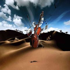 Desert Sonata Photography Scenery Backdrop Fantasy Theme Banner EHY-468