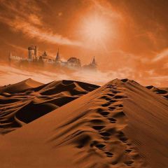 Ups And Downs Dunes Photography Scenery Backdrop Desert Landscape Theme Banner EHY-470