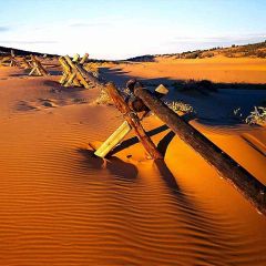 Boundless Desert Photography Scenery Backdrop Desert Landscape Theme Banner EHY-473