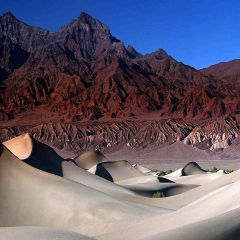 Shifting Sand Dunes Photography Scenery Backdrop Desert Landscape Theme Banner EHY-480