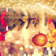 Light Ball Grass Red Ribbon Photography Scenery Backdrop Christmas Theme Banner EUV-467