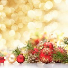 Light Ball Leaves Shine Photography Scenery Backdrop Christmas Theme Banner EUV-470