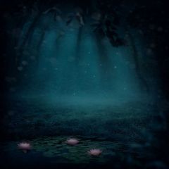 Tree Lotus River Dark Photography Scenery Backdrop Night Theme Banner EUV-486