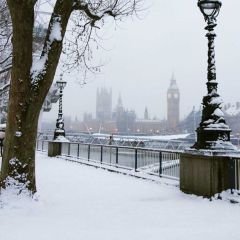 Snow Tree House Light Photography Scenery Backdrop Snow Theme Banner EUV-548