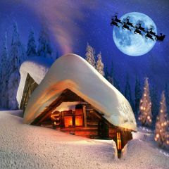 Snow Moon Tree Log Cabin Photography Scenery Backdrop Snow Theme Banner EUV-563