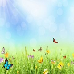 Grass Butterfly Shine Bubble Photography Scenery Backdrop Cartoon Theme Banner EUV-752