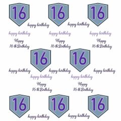 Happy 16Th Birthday Banner Photography Scenery Backdrop Step and Repeat Banner Theme Banner IYC-001