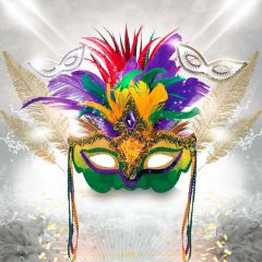 Mask Fur Photography Scenery Backdrop Masquerade Theme Banner IYC-037