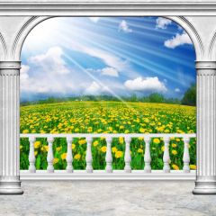 Arch Sky Cloud Flower Photography Scenery Backdrop Arches or Pillars Theme Banner IYC-090