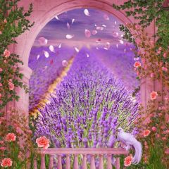 Arch Flower Purple Plant Photography Scenery Backdrop Arches or Pillars Theme Banner IYC-092