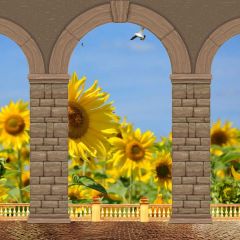 Arch Flower Sky Bird Photography Scenery Backdrop Arches or Pillars Theme Banner IYC-093