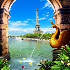 Arch Sea Plant Tower Photography Scenery Backdrop Ocean Theme Banner IYC-108