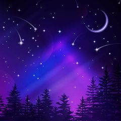 Night Moon Star Tree Photography Scenery Backdrop Night Theme Banner IYC-217