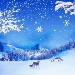 Snow Deer Tree Star House Photography Scenery Backdrop Snow Theme Banner IYC-222