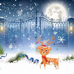 Deer Door Grass Moon Star Photography Scenery Backdrop Cartoon Theme Banner IYC-228