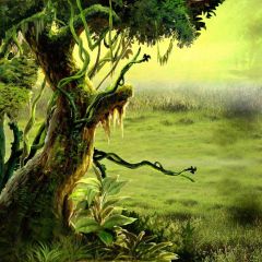 Forest Tree Grass Light Photography Scenery Backdrop Forest Theme Banner IYC-230