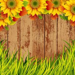 Sunflower Grass Wood Photography Scenery Backdrop Cartoon Theme Banner IYC-237