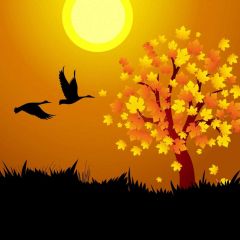 Grass Tree Moon Bird Sunset Photography Scenery Backdrop Nature Theme Banner IYC-241
