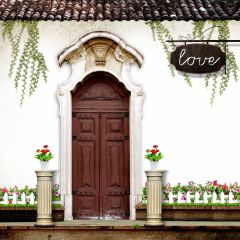 Door Tree Flower Pot Culture Photography Scenery Backdrop Door Theme Banner IYC-263