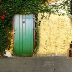 Door Wall Grass Sunshine Flower Wood Floor Photography Scenery Backdrop Door Theme Banner IYC-268