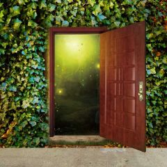 Door Grass Light Floor Photography Scenery Backdrop Door Theme Banner IYC-269