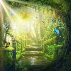 Forest Tree Butterfly Sunshine Stairs Photography Scenery Backdrop Forest Theme Banner IYC-273