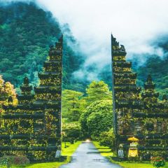 Tree Mountain Grass Smoke Photography Scenery Backdrop Nature Theme Banner IYC-274