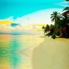 Sea Sunset Beach Tree Photography Scenery Backdrop Ocean Theme Banner IYC-275