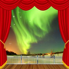 Balcony Curtain Star Light Tree Photography Scenery Backdrop Balcony Landscape Theme Banner IYC-276