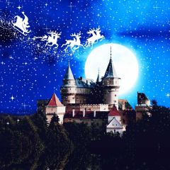 Night Moon Castle Tree Cloud Photography Scenery Backdrop Night Theme Banner IYC-277
