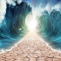 Sea Wave Road Light Photography Scenery Backdrop Ocean Theme Banner IYC-284