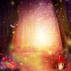 Forest Tree Light Mushroom Photography Scenery Backdrop Forest Theme Banner IYC-286