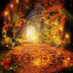 Forest Light Grass Fallen Leaves Photography Scenery Backdrop Forest Theme Banner IYC-289