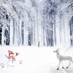 Snow Tree Snowman Deer Photography Scenery Backdrop Snow Theme Banner IYC-292