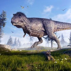 Dragon Grass Tree Smoke Photography Scenery Backdrop Fantasy Theme Banner IYC-293