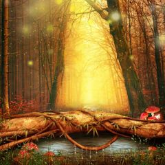 Forest Tree River Grass Mushroom Photography Scenery Backdrop Forest Theme Banner IYC-294