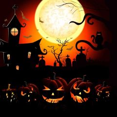 Halloween Moon House Pumpkin Latern Tree Photography Scenery Backdrop Halloween Theme Banner IYC-300