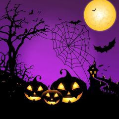 Halloween Moon Lantern Tree Spider Web Photography Scenery Backdrop Halloween Theme Banner IYC-303
