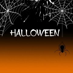 Halloween Spider Web Photography Scenery Backdrop Halloween Theme Banner IYC-305