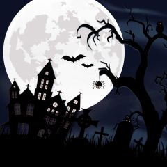 Moon House Tree Bird Photography Scenery Backdrop Halloween Theme Banner IYC-309