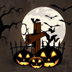 Moon Pumpkin Latern Fence Bird Photography Scenery Backdrop Halloween Theme Banner IYC-310