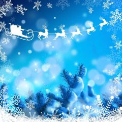 Snow Deer Grass Bubble Photography Scenery Backdrop Snow Theme Banner IYC-313