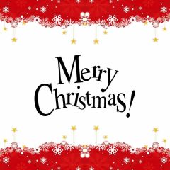 Merry Christmas Snow Star Photography Scenery Backdrop Christmas Theme Banner IYC-322