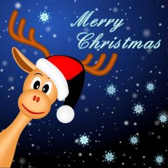 Merry Christmas Deer Snowflake Night Sky Photography Scenery Backdrop Christmas Theme Banner IYC-323